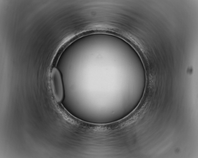 X0000100321029200806121059