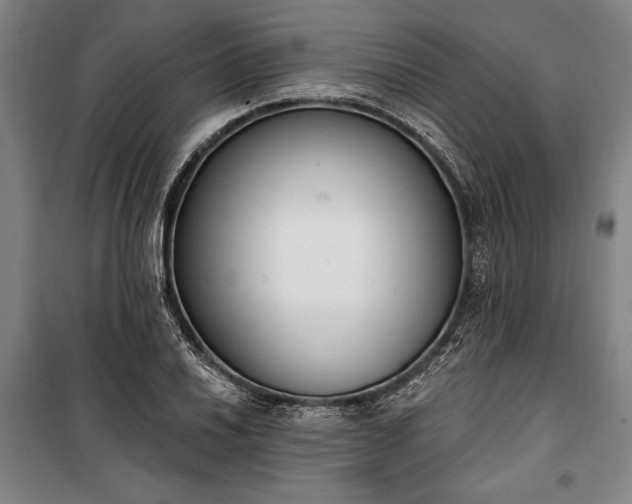 X0000100321030200806121059