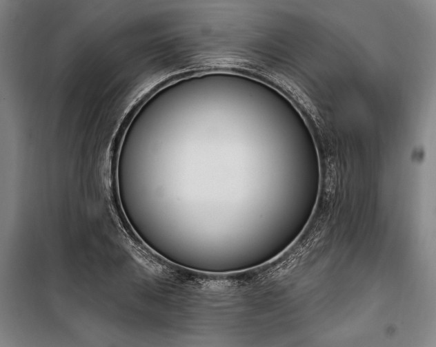 X0000100321031200806121059