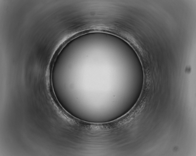 X0000100321032200806121059