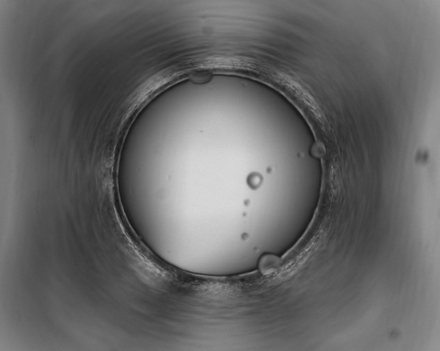 X0000100321033200806121059