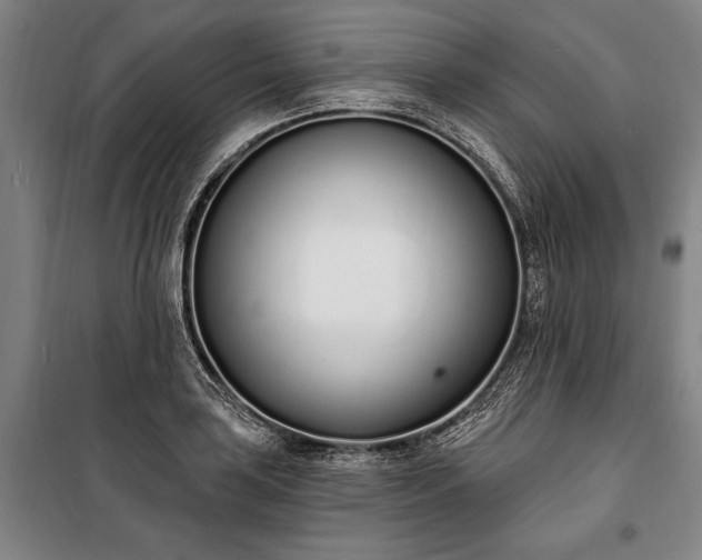 X0000100321035200806121059