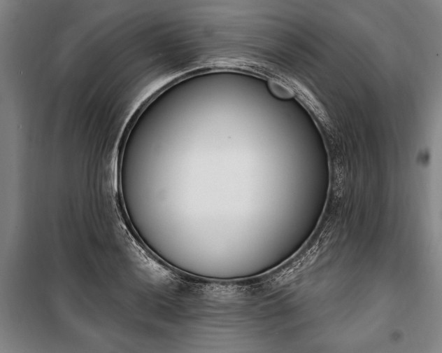 X0000100321036200806121059