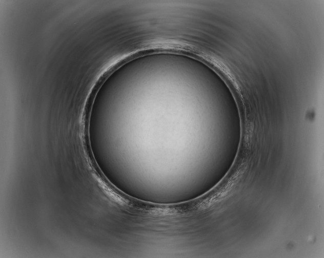 X0000100321037200806121059