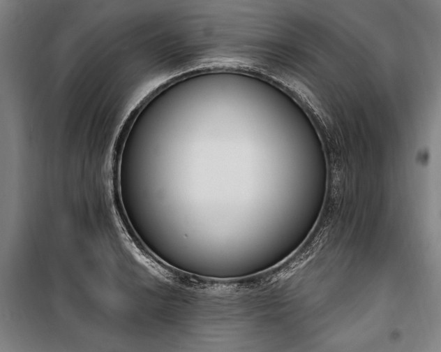 X0000100321038200806121059