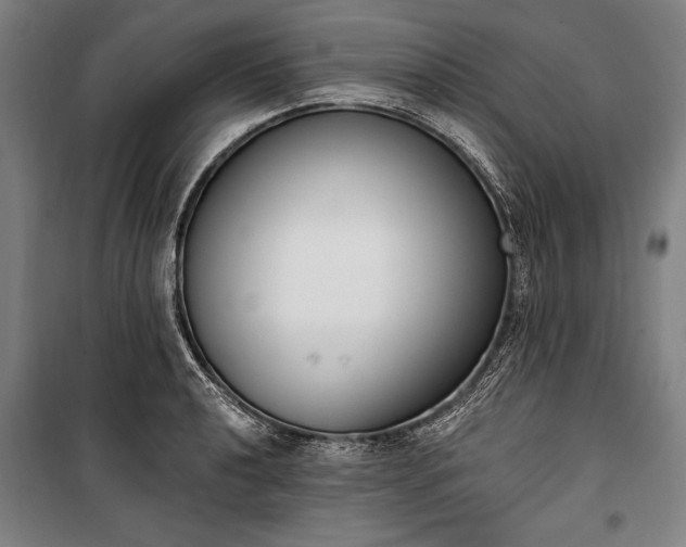 X0000100321040200806121059