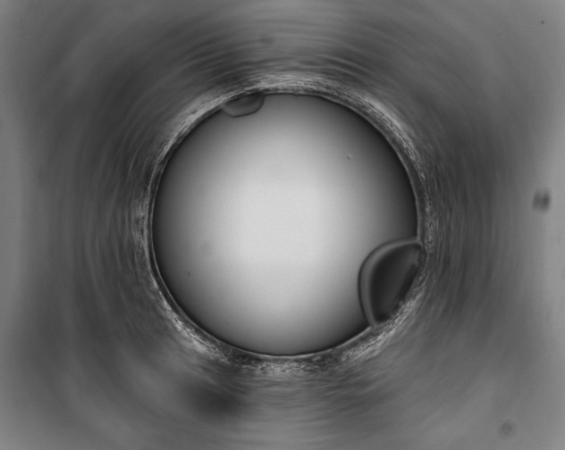 X0000100321041200806121059