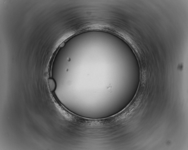 X0000100321042200806121059