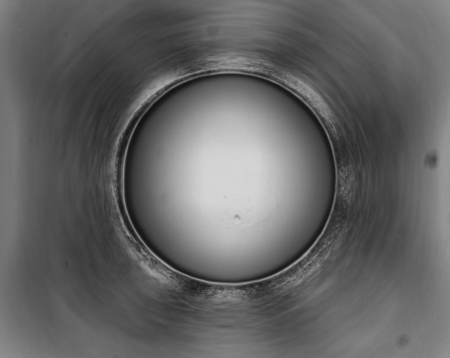 X0000100321043200806121059