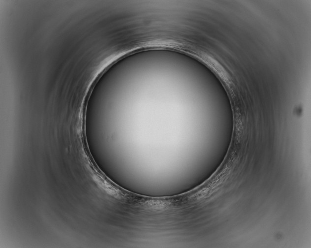 X0000100321044200806121059