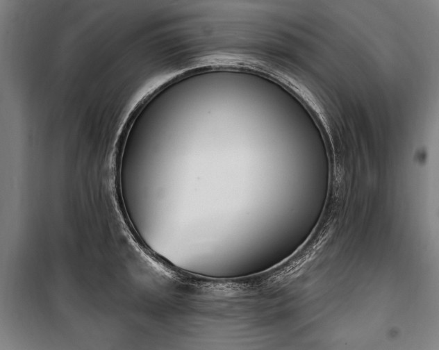 X0000100321045200806121059