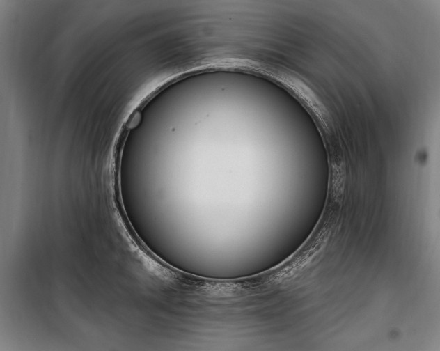 X0000100321046200806121059