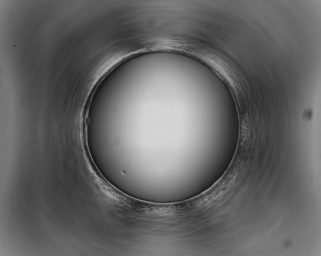 X0000100321047200806121059