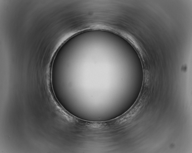 X0000100321048200806121059