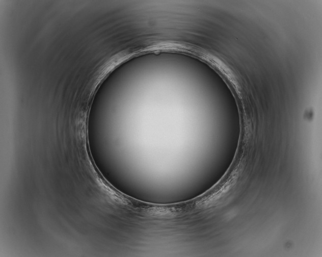 X0000100321049200806121059