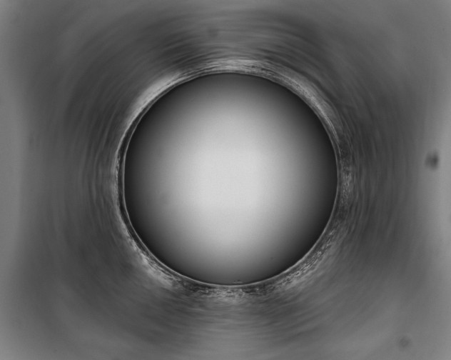 X0000100321050200806121059