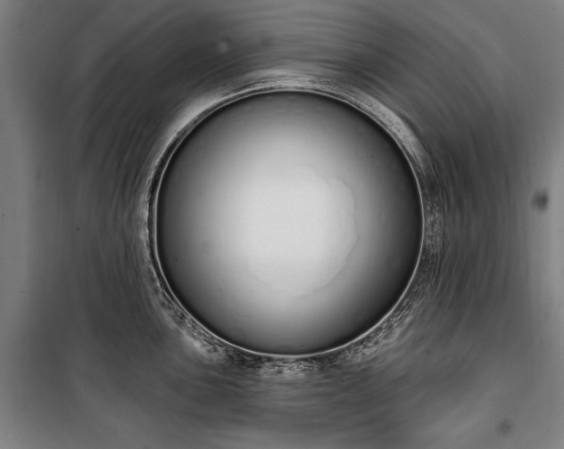 X0000100321051200806121059