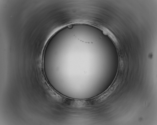 X0000100321052200806121059