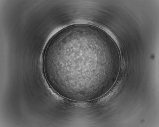 X0000100321053200806121059