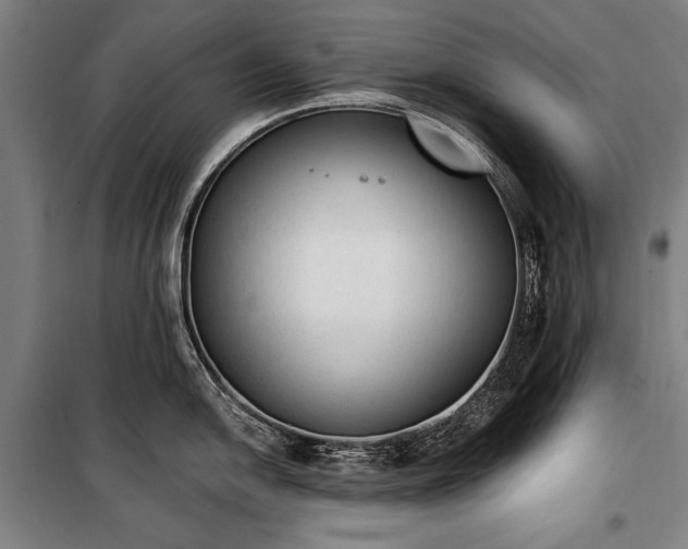 X0000100321054200806121059