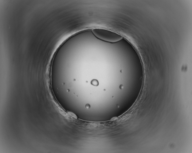 X0000100321056200806121059