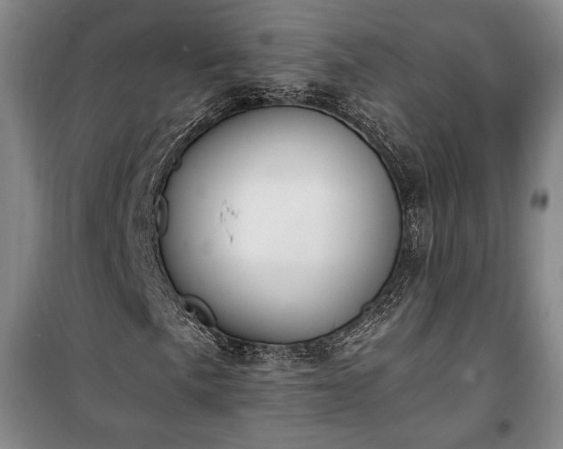 X0000100321057200806121059