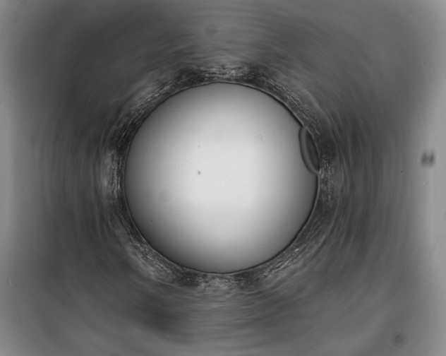 X0000100321058200806121059