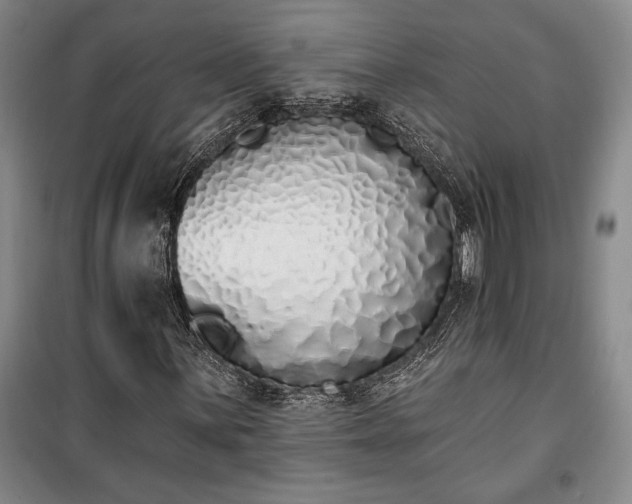 X0000100321059200806121059