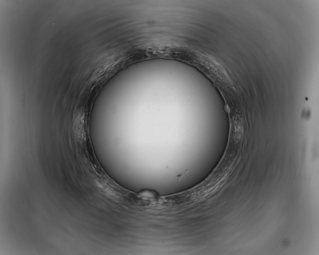 X0000100321060200806121059