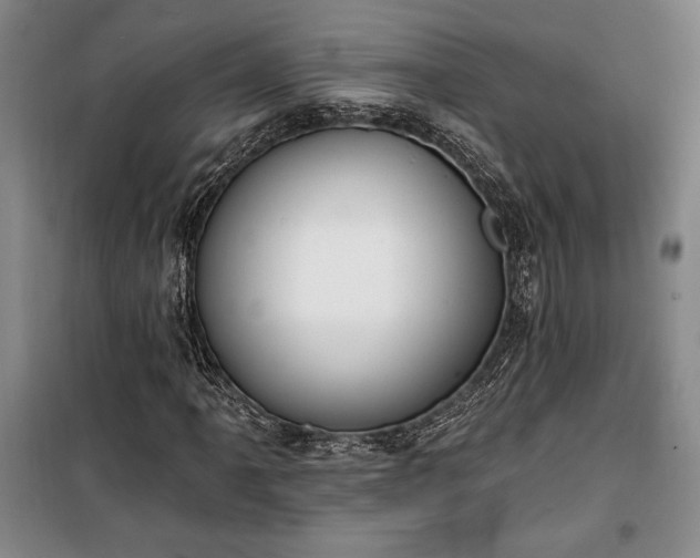 X0000100321061200806121059