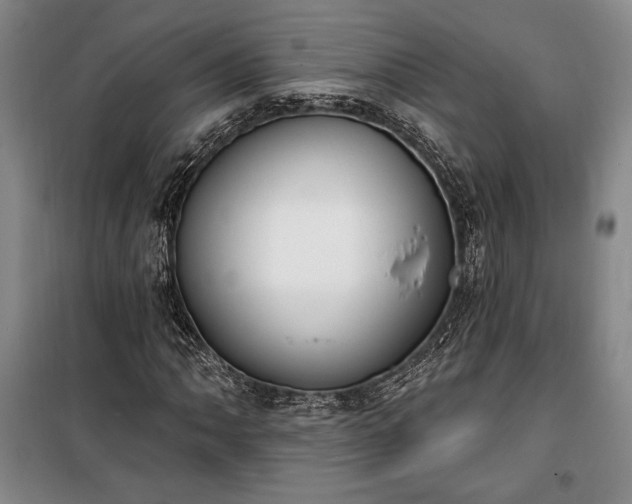 X0000100321062200806121059