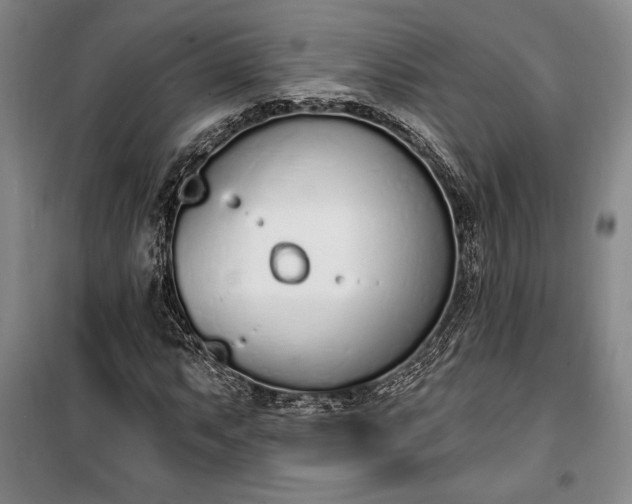 X0000100321063200806121059