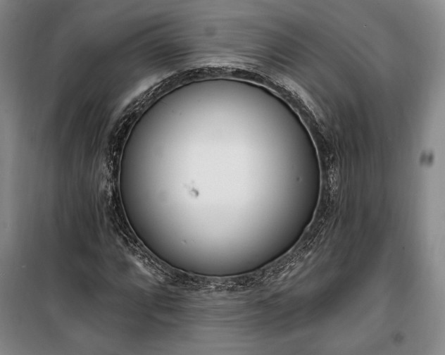 X0000100321064200806121059