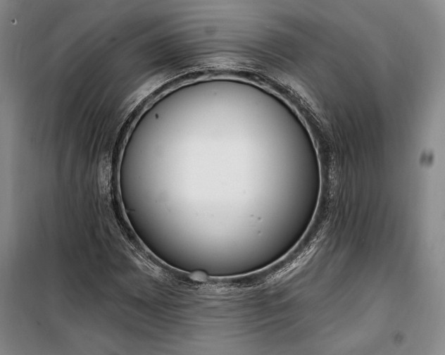 X0000100321065200806121059