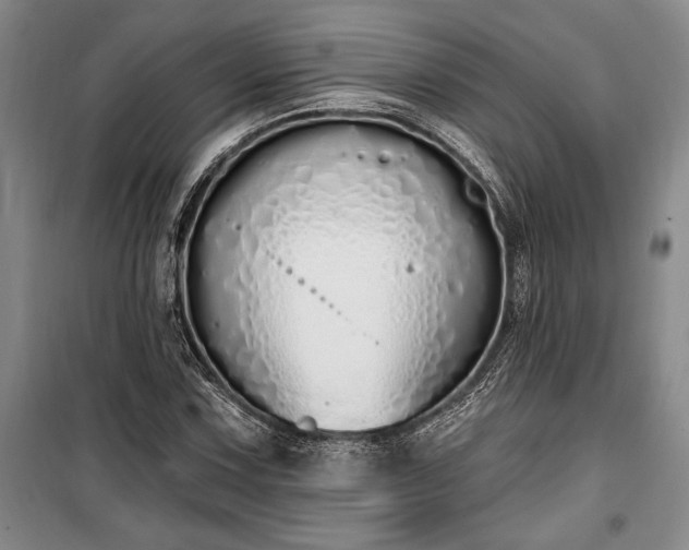 X0000100321067200806121059