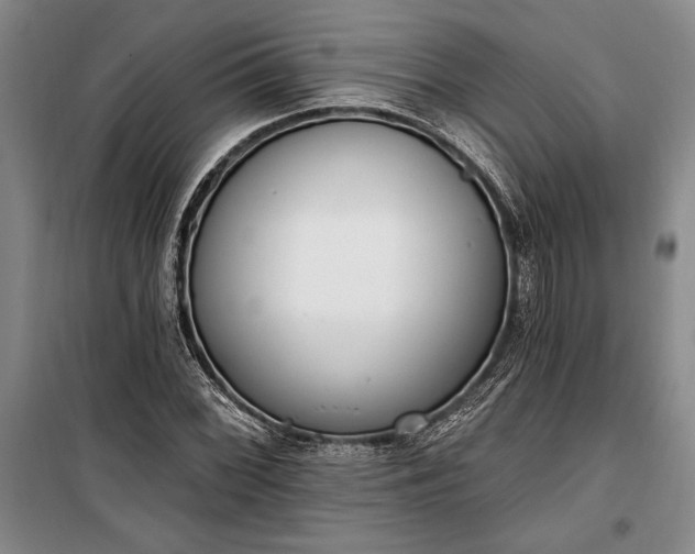 X0000100321068200806121059