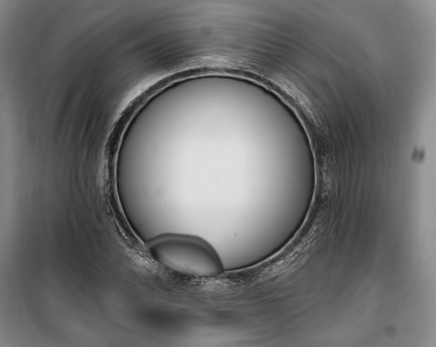 X0000100321070200806121058