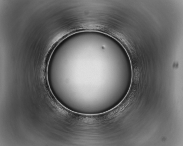 X0000100321071200806121058