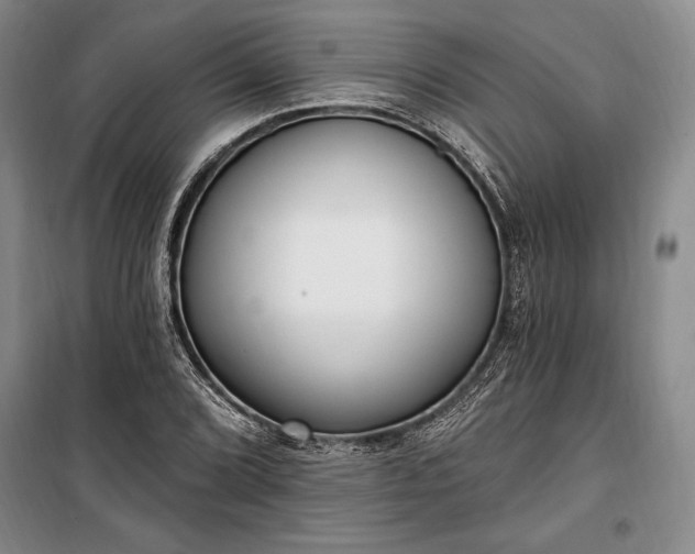 X0000100321072200806121058