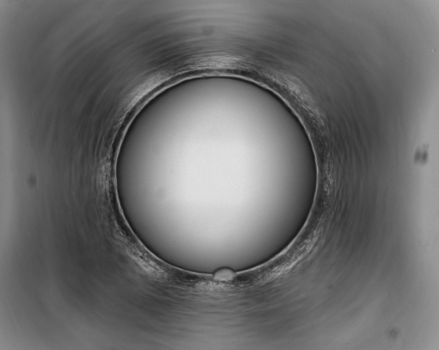 X0000100321073200806121058