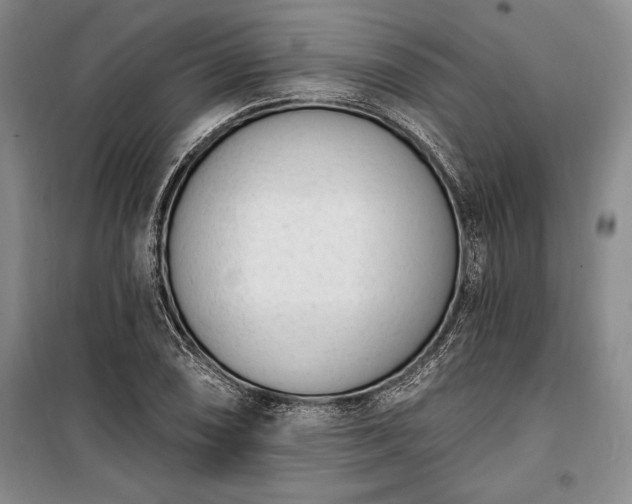 X0000100321074200806121058