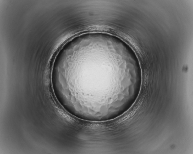 X0000100321075200806121058