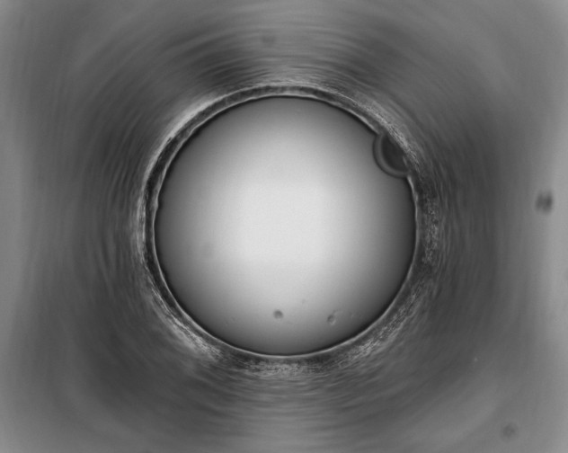 X0000100321076200806121058