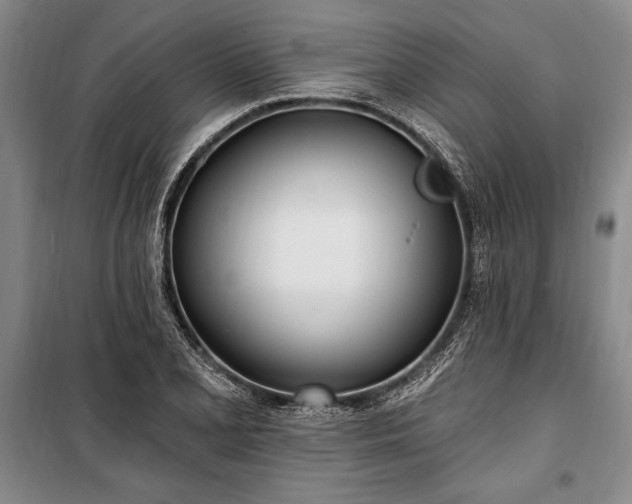 X0000100321077200806121058