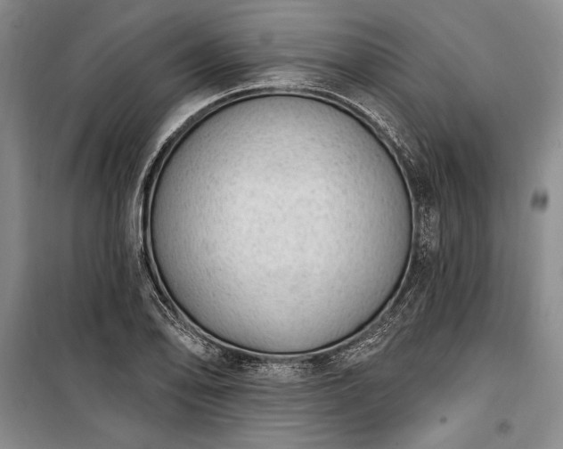 X0000100321078200806121058