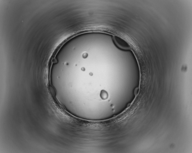 X0000100321079200806121058