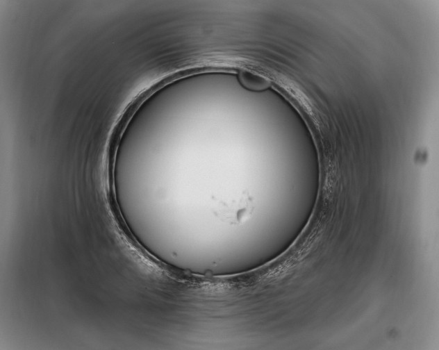 X0000100321080200806121058