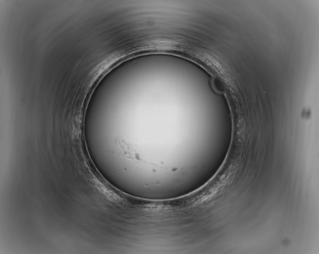 X0000100321081200806121058