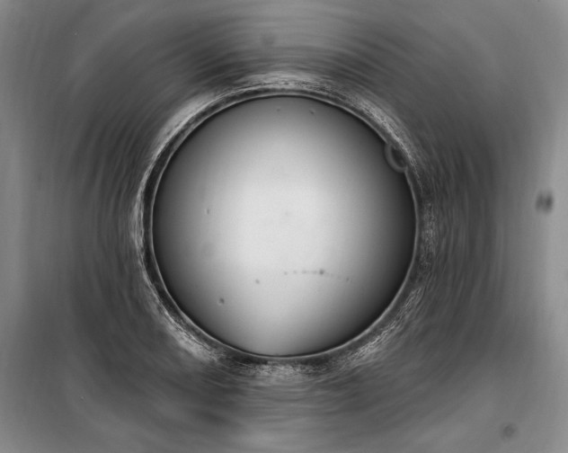 X0000100321082200806121058