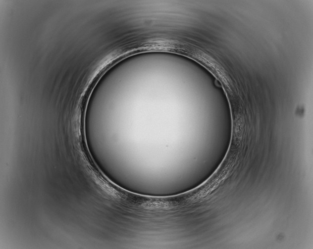 X0000100321083200806121058